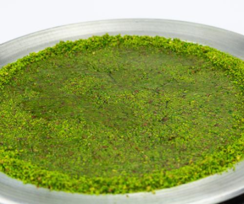 Billuriye (Dış Görsel)